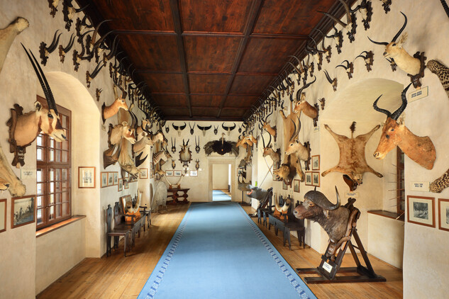 Telč, Africký sál