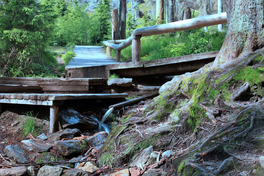 Pramen Vltavy | © NP Šumava Pramen Vltavy | © NP Šumava